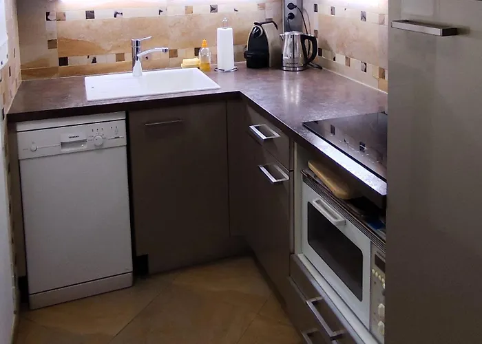 Lovely Overlooking Inner Garden - Montparnasse Pasteur Eiffel Daire